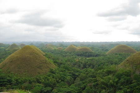 chocolate hills